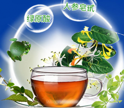 天天清茶