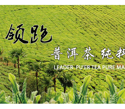 云宏茶