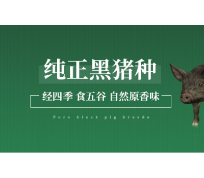 徒河黑猪肉