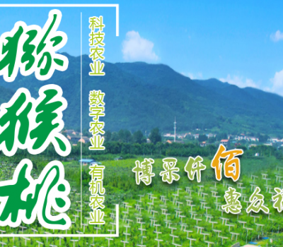 佰瑞猕猴桃