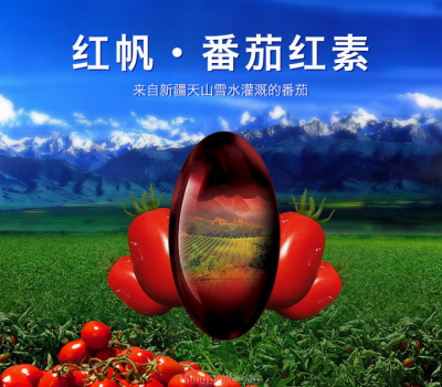 红帆