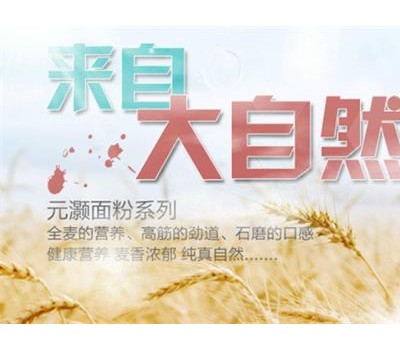 元灏面粉