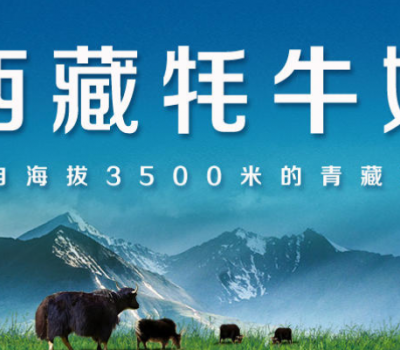 高原之宝牦牛奶