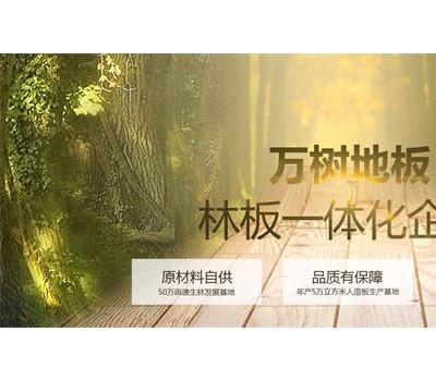 ONESURE万树地板