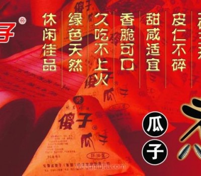 傻子瓜子